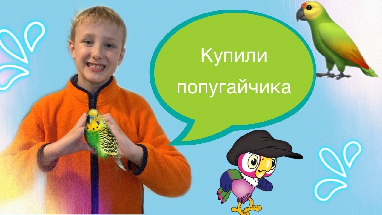 Купили ПОПУГАЙЧИКА! Попугай КЕША!