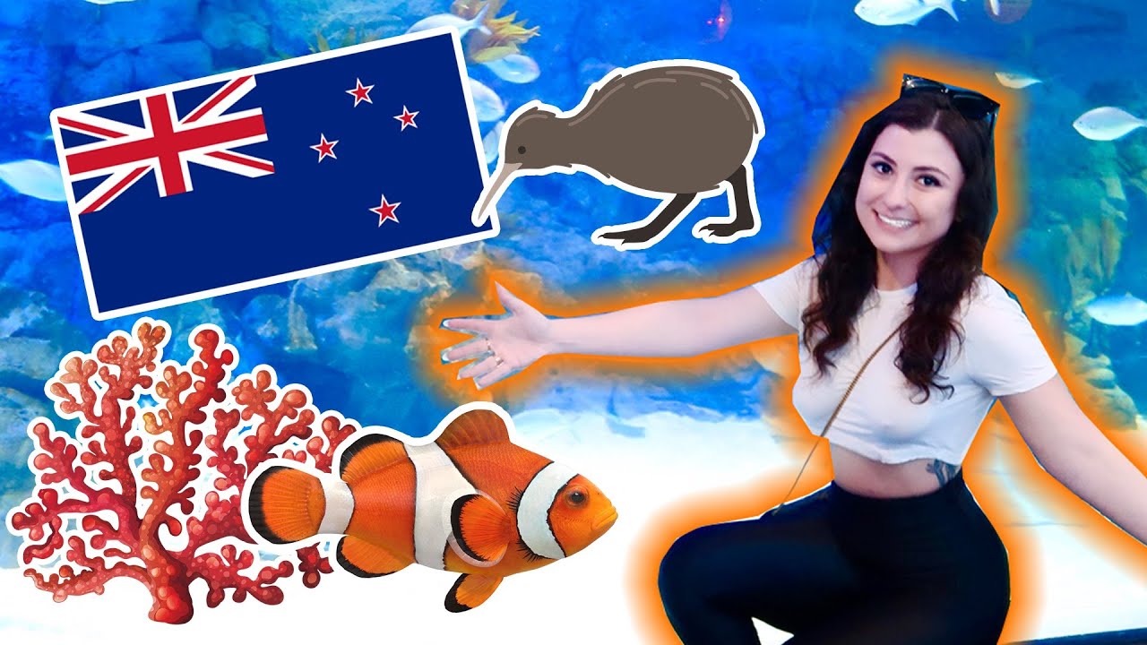 *EPIC* NEW ZEALAND AQUARIUM! Kelly Tarltan's tour