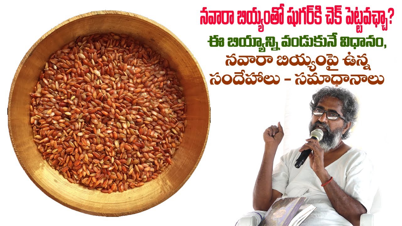 నవారా బియ్యం తో షుగర్ కి చెక్ పెట్టవచ్చా?||ఈ బియ్యాన్ని వండుకునే విధానం|| సందేహాలు - సమాధానాలు