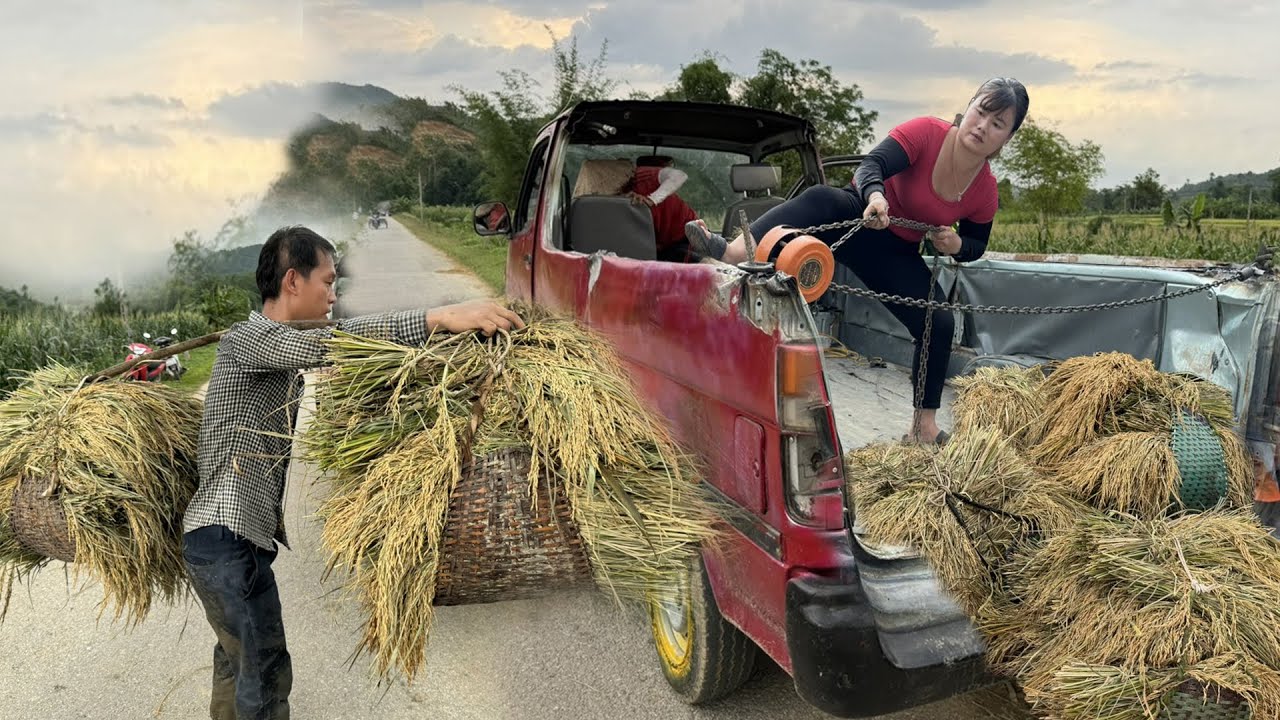 Make Technology The 9 Seater Car Into A Truck Carrying Rice. Transform A Car Into A Truck