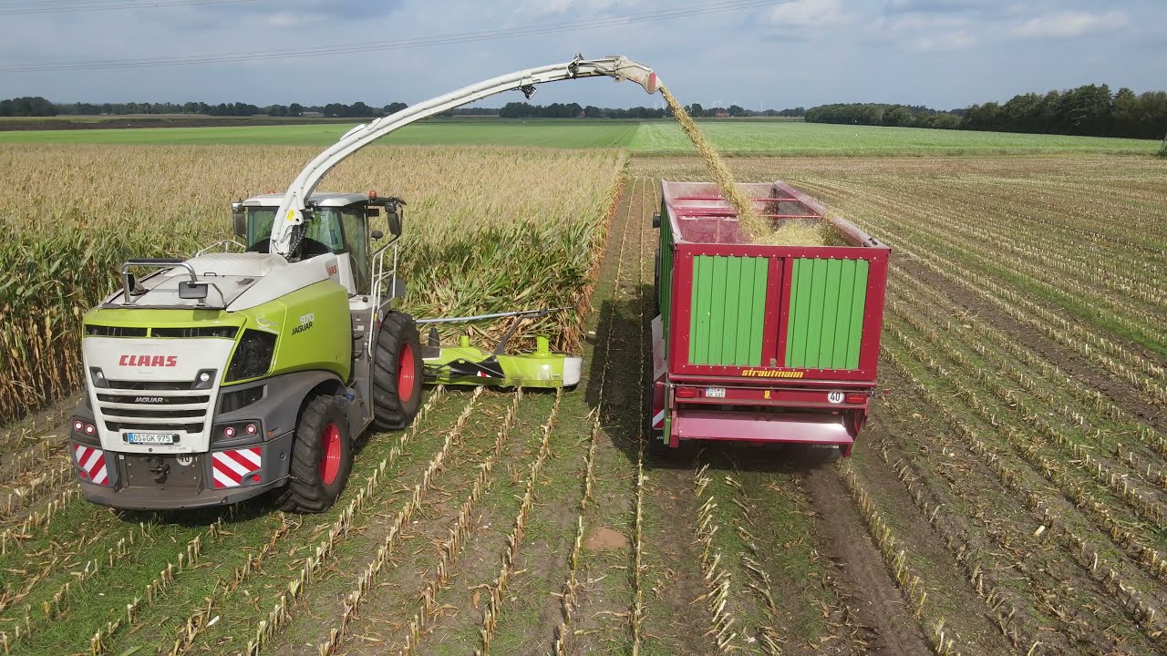 #Maishäckseln 2021 Extrem / Claas Jaguar 970 Neuer Häcksler  des #Lohnunternehmen Kreyenhagen (4K )