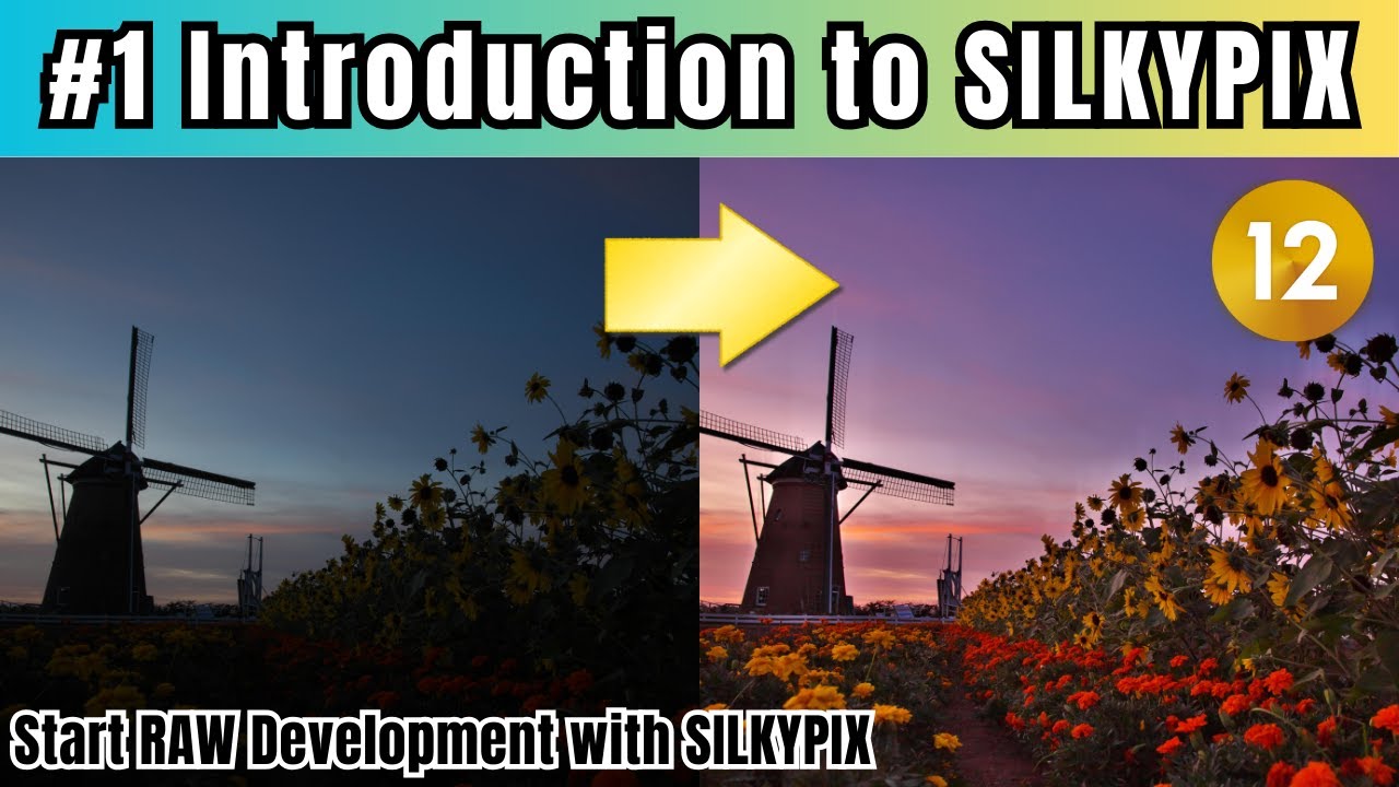 #1 Introduction to SILKYPIX - Start RAW Development with SILKYPIX