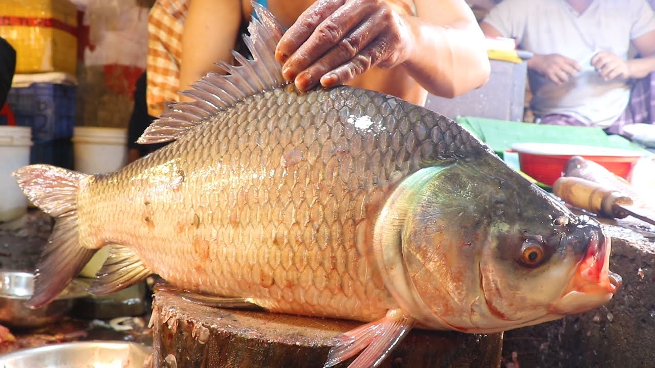 Alive Fish Cutting Videos | Giant Catla Fish Cutting Skills Live In Bangladesh Fish Market