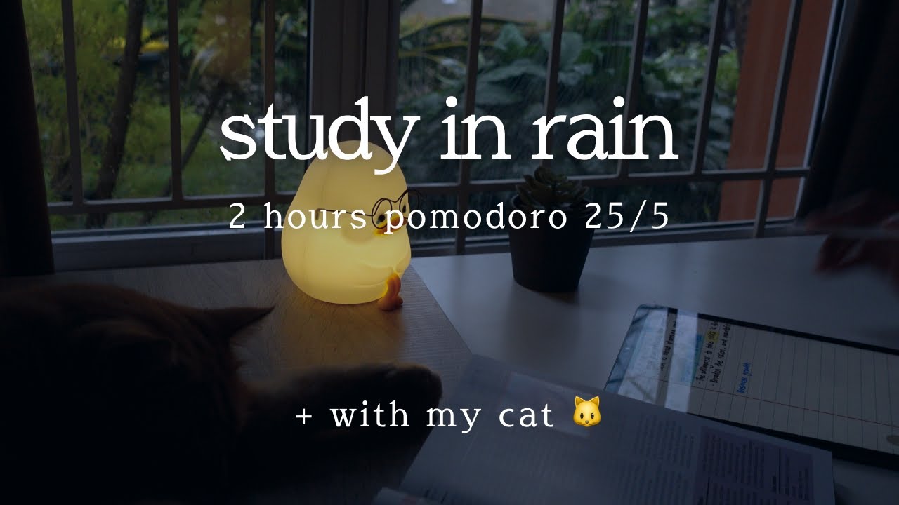 2 hour study | ⛈️ rain study with me | pomodoro 25/5 | sunset | with my cat 🐱