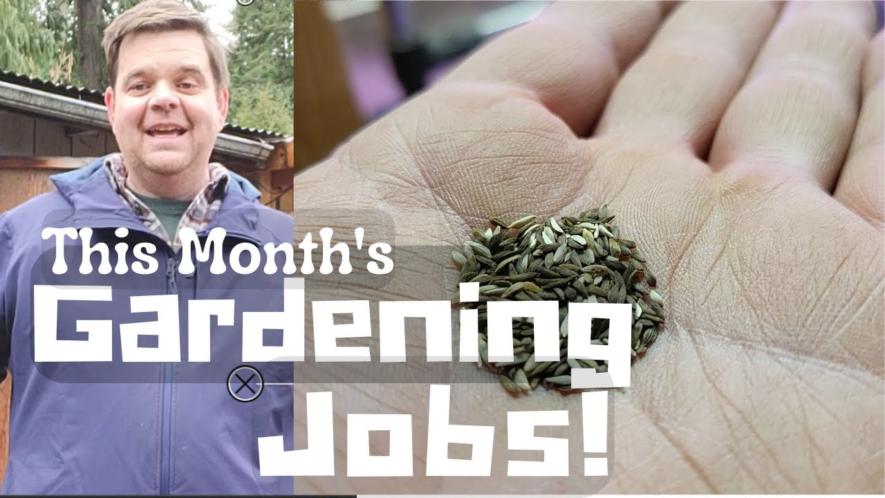 Get Your Garden Ready for Spring in the Pacific Northwest: This Month's Gardening Tasks