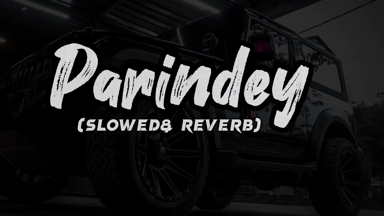 Parindey Yaar (Slowed Reverb song) Haryanvi Lofi song 