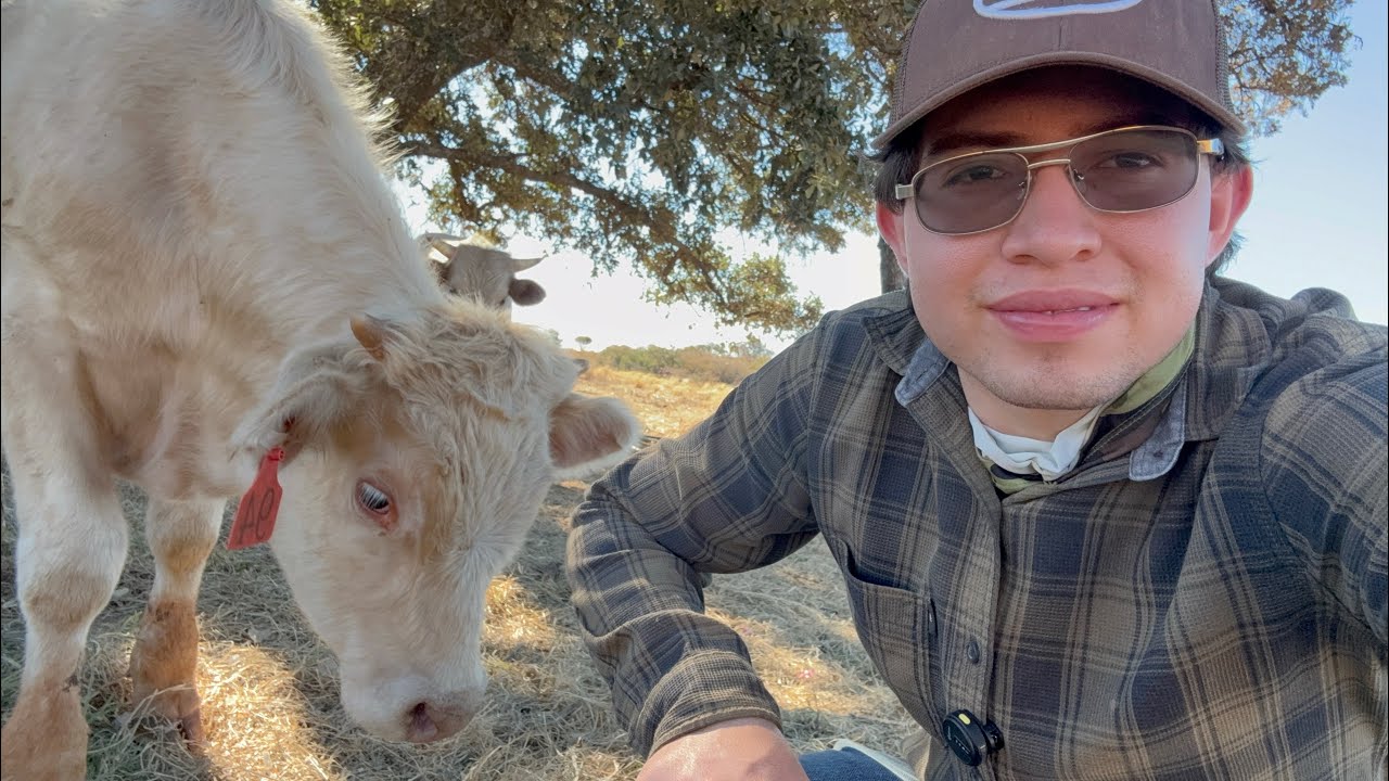 BONITO DÍA EN EL RANCHO 🤠🐮