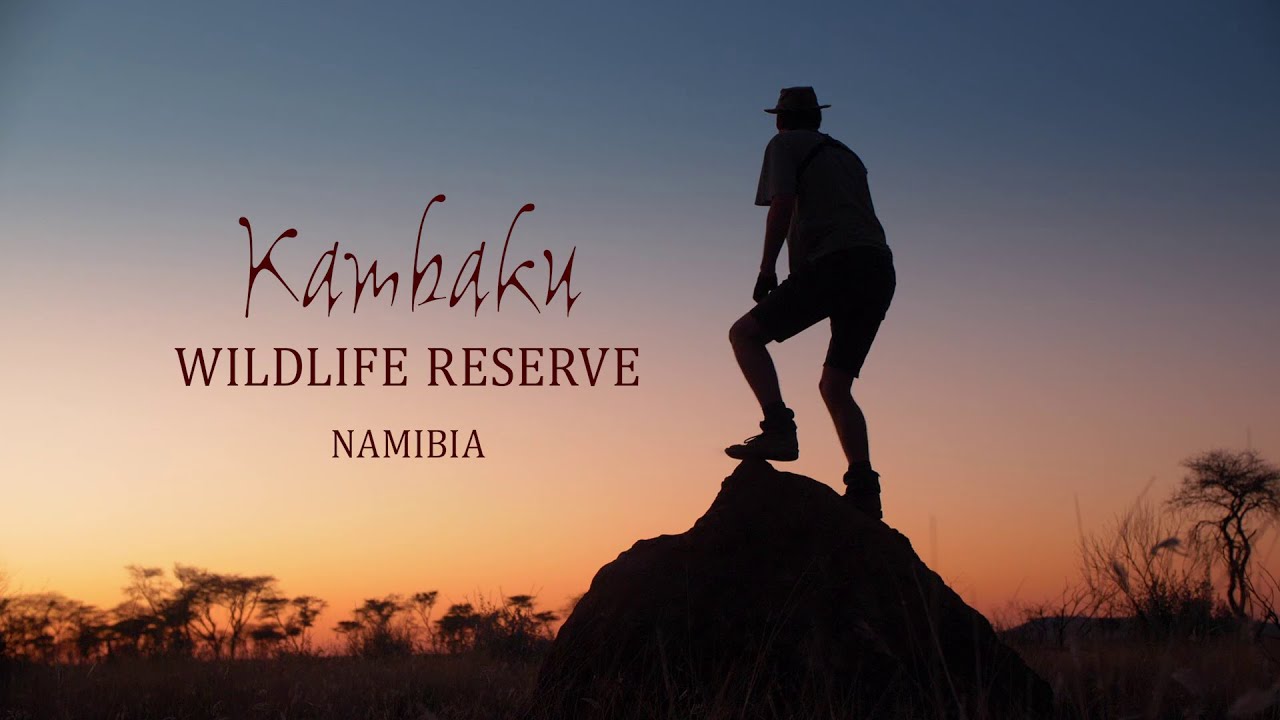 Safari in Namibia – Adventurous holidays for nature-lovers in the bush savannah at Kambaku