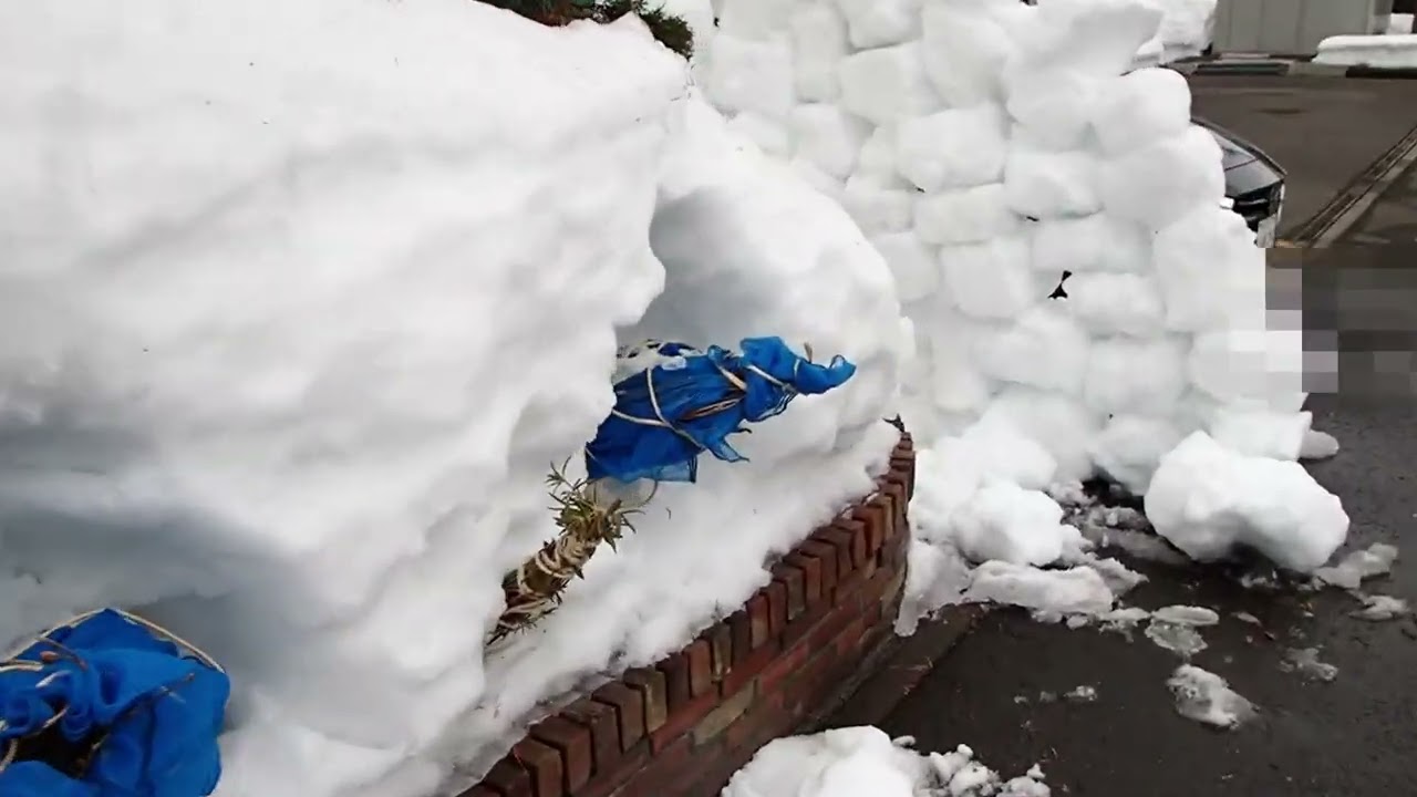 2026雪割り