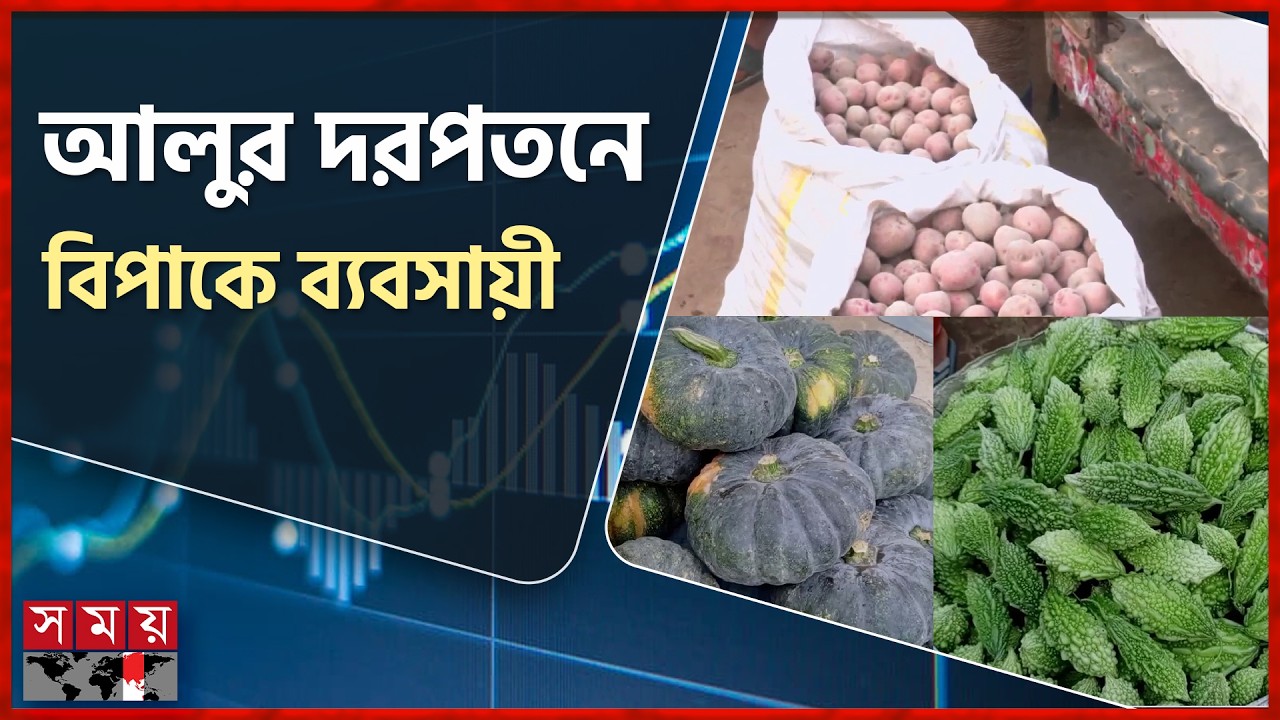 বগুড়ায় মহাস্থানগড় মোকামে সরবরাহ কমায় বেড়েছে সবজির দাম | Bogura News | Vegetables Price | Somoy TV