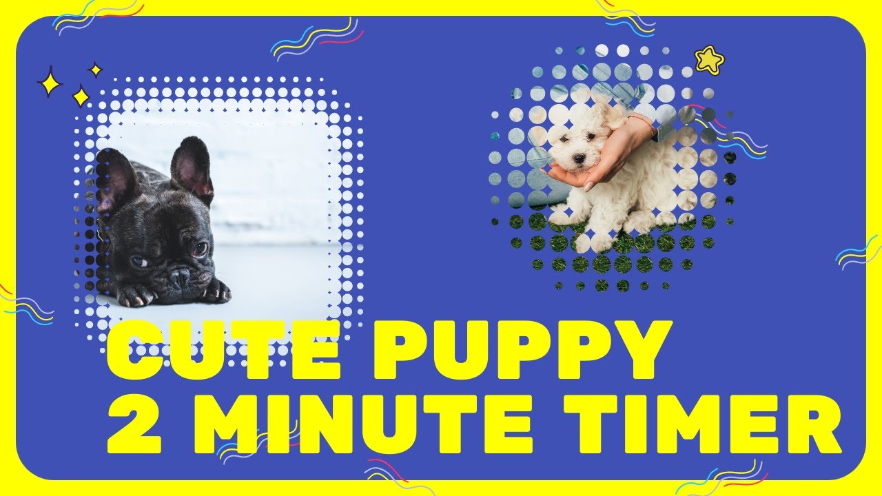 🐕 2 Minute Puppy Timer 🐶