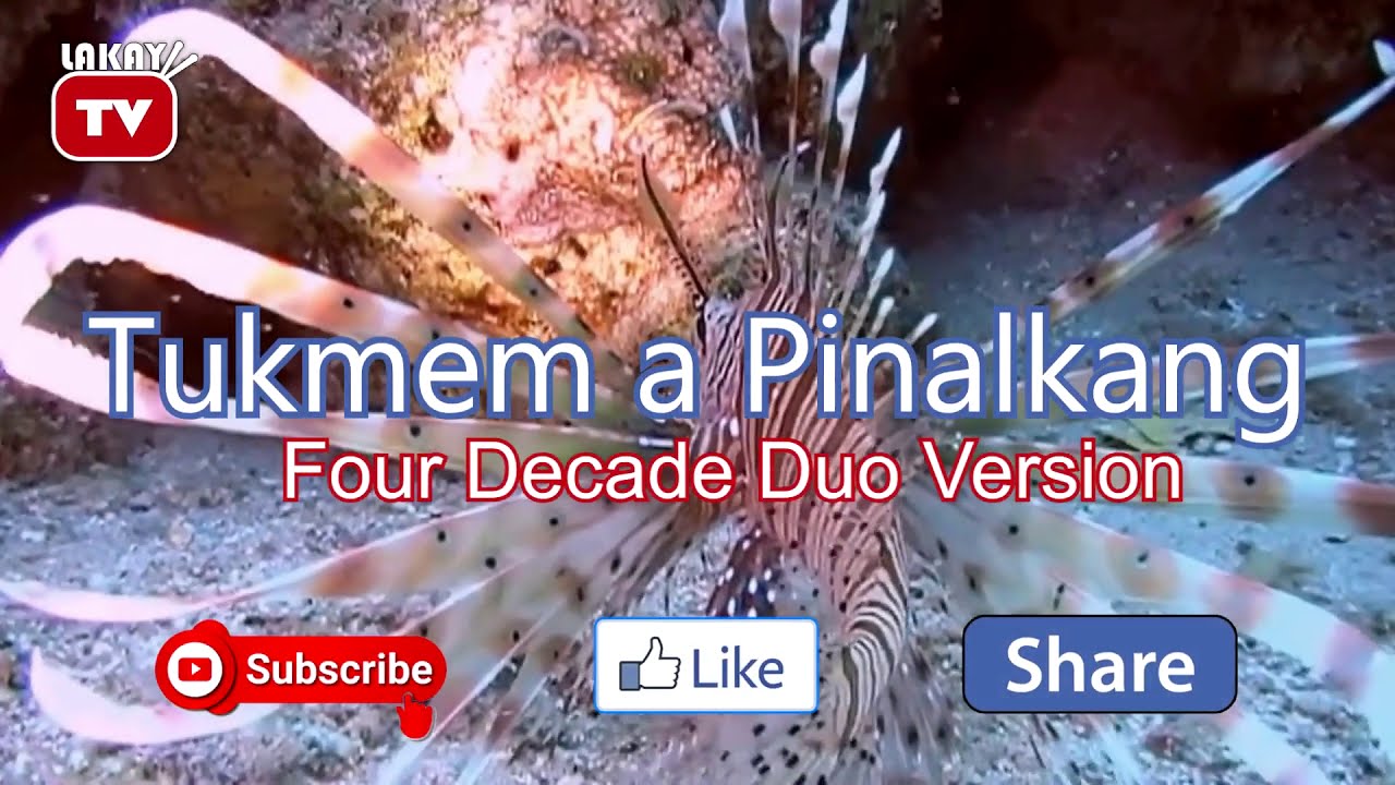 Tukmem A Pinalkang | ILOCANO VIDEOKE