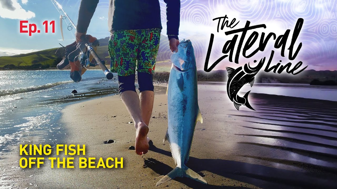 Fishing Top Water Lures off the Beach in New Zealand