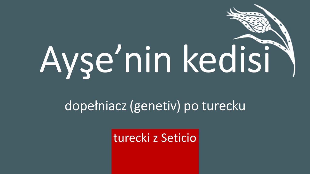 18. Dopełniacz - tamlayan eki po turecku czyli (do) kogo, czego należy? Turecki z Seticio Lekcja 18