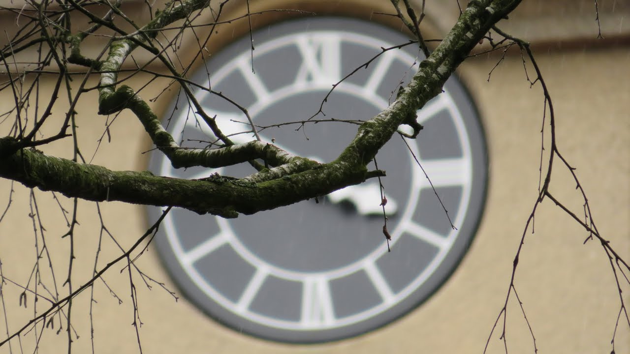 Canon PowerShot SX720 HS Maximal 40x Zoom Shots