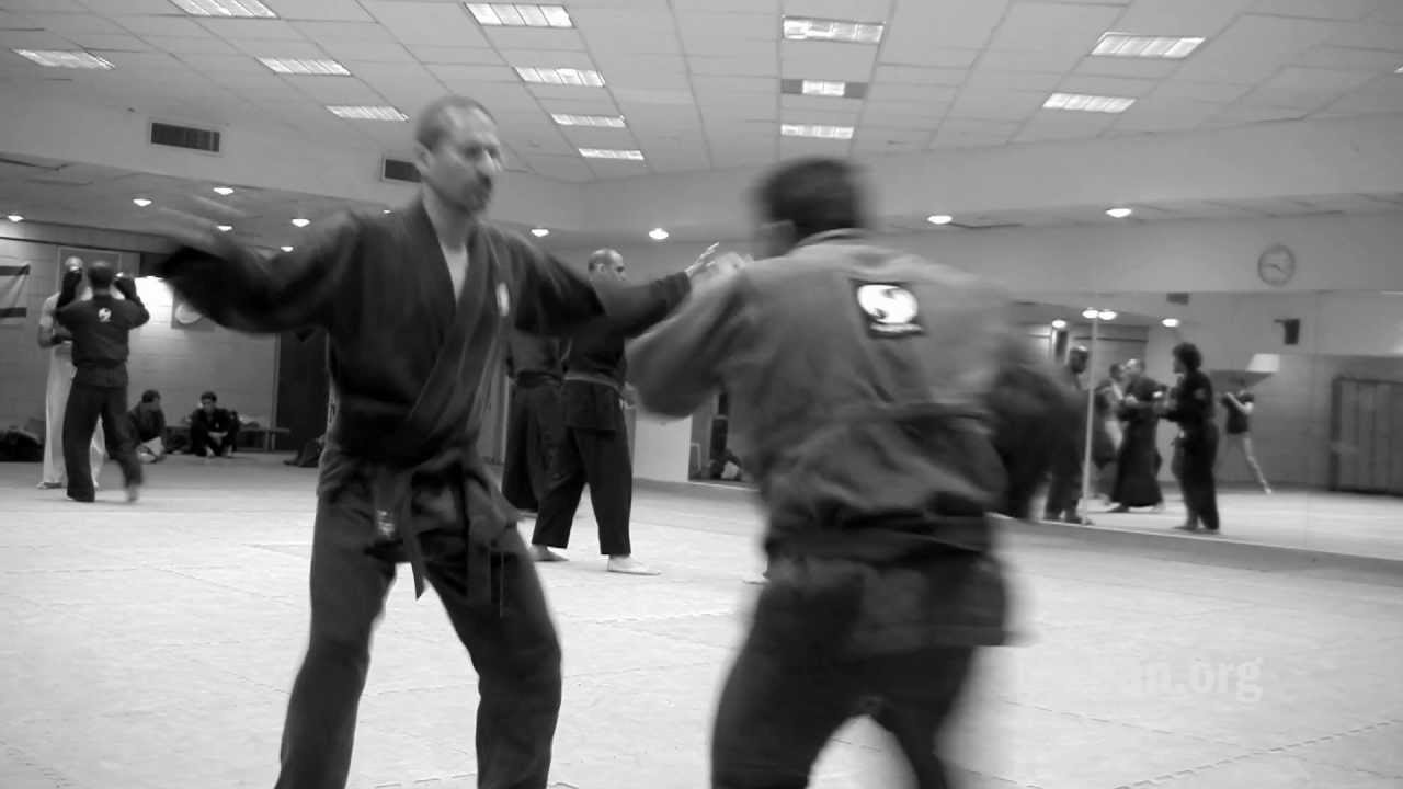 Chikusei no kata, Kukishin ryu Dakentaijutsu - Ninjutsu technique for Akban wiki
