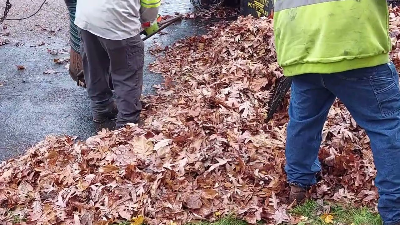 Lehigh Valley Leaf Collection Ep. 4: North Whitehall TWP PA