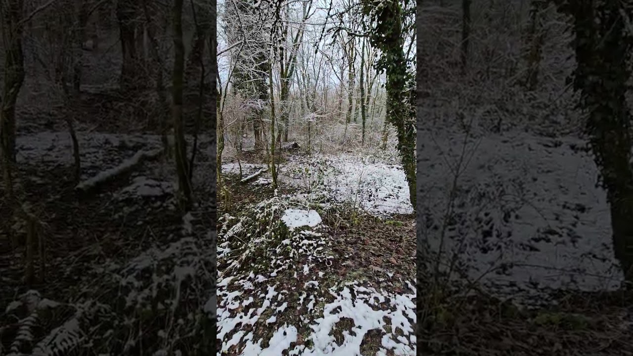 Verdun Battlefield Walk 2.0