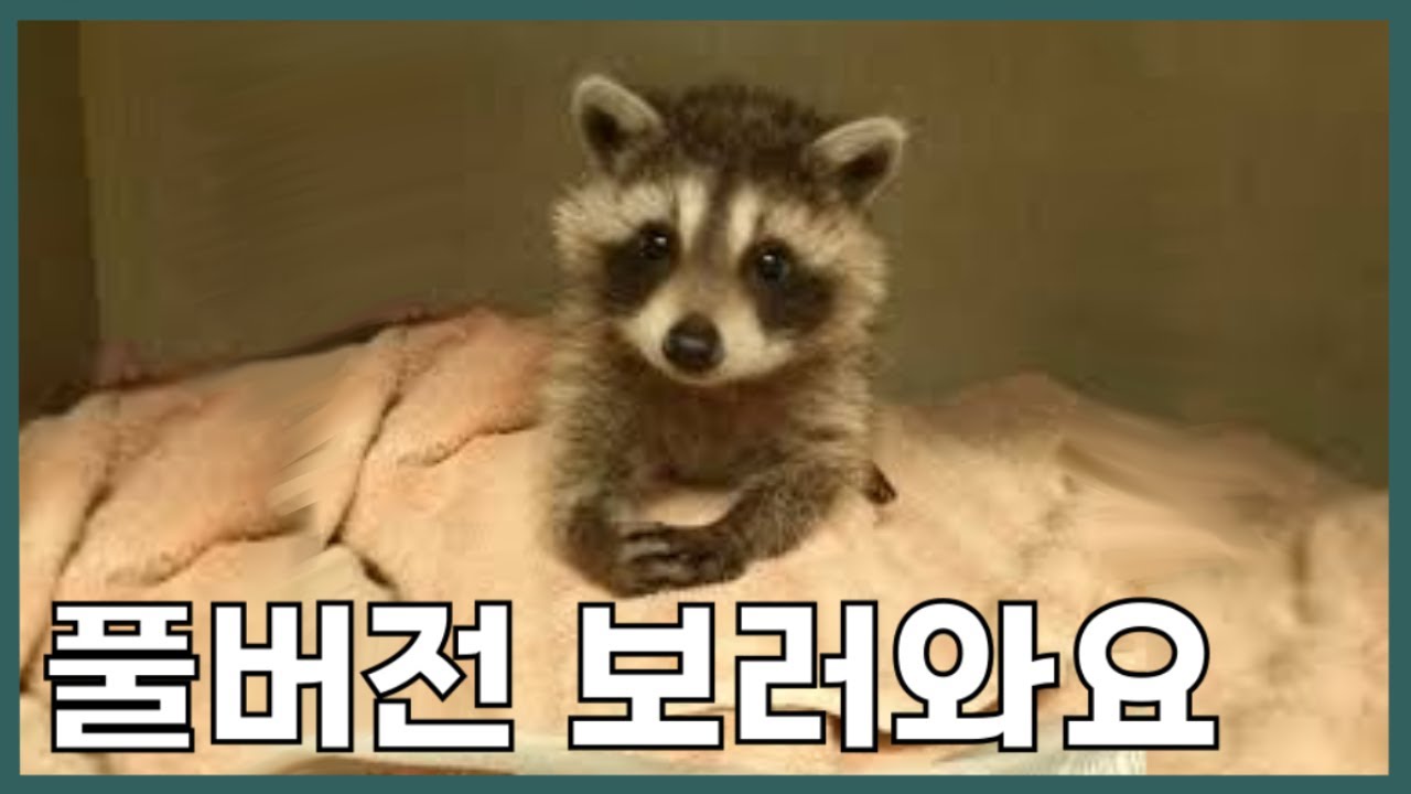 2023 12 21 Full