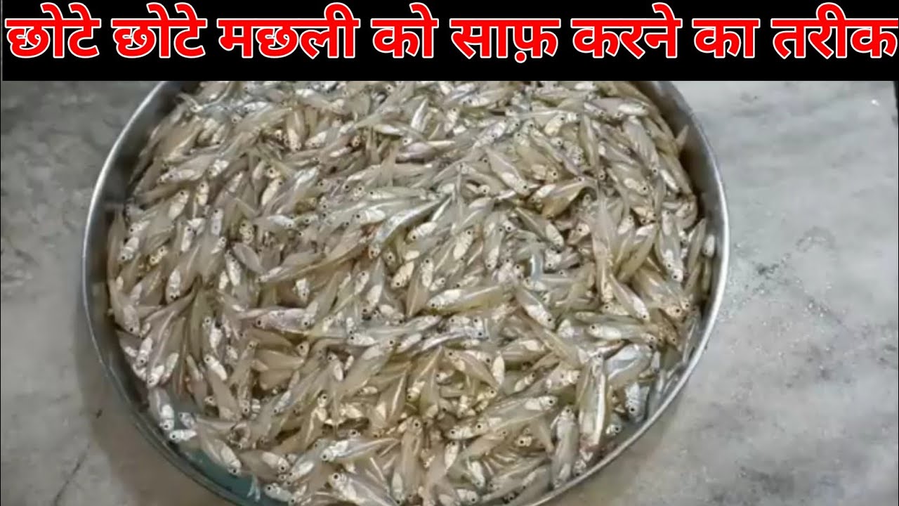 छोटे छोटे मछली को साफ़ कैसे करें 🤔 | इस तरीका से छोटे मछली को बनाए | Fish Curry Recipe |#fish 