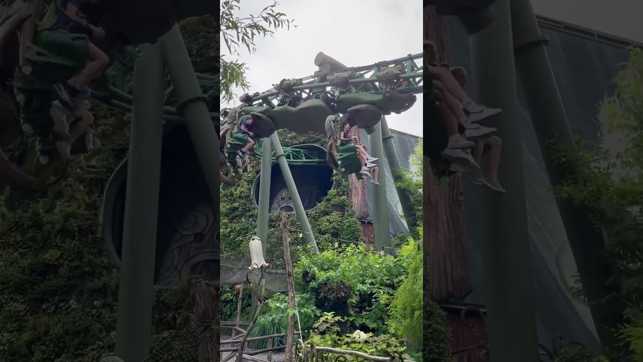 Arthur, Europa park. #europark #mackrides #rollercoaster #themepark #amusementpark