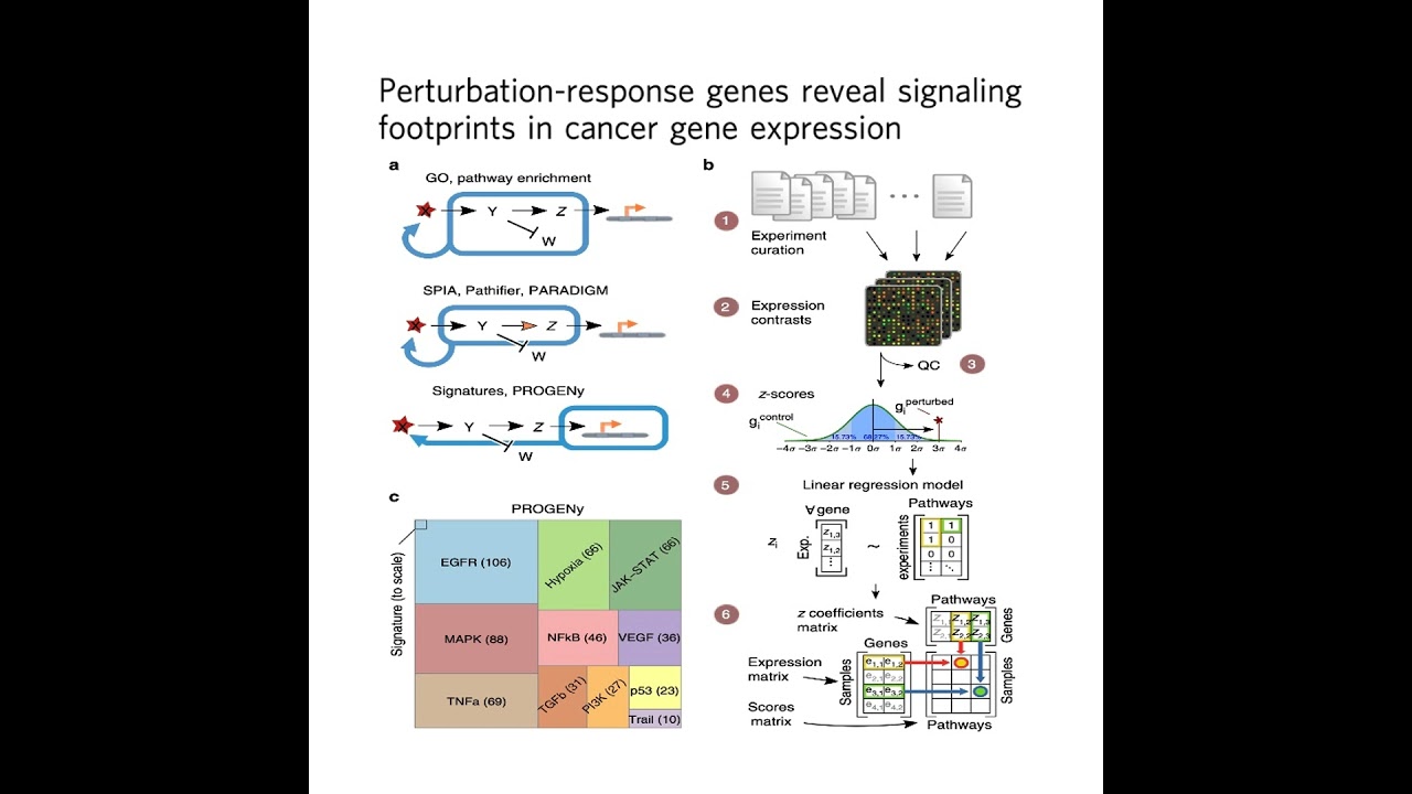 268-PROGENy: Pathway Activity Inference from Gene Expression
