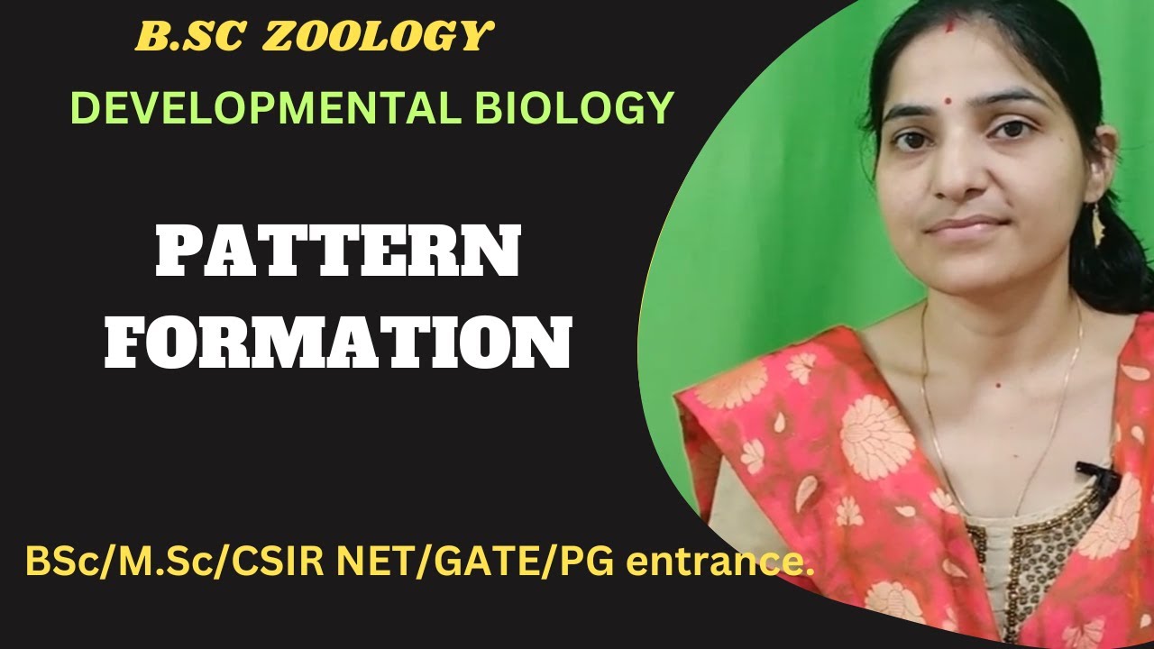 Pattern Formation in Developmental biology b.sc 3rd year||Developmental biology||#zoology