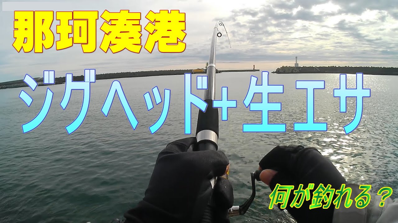 ジグヘッドに生エサつけて那珂湊港に落としたら何が釣れるかな？（2023年11月中旬）