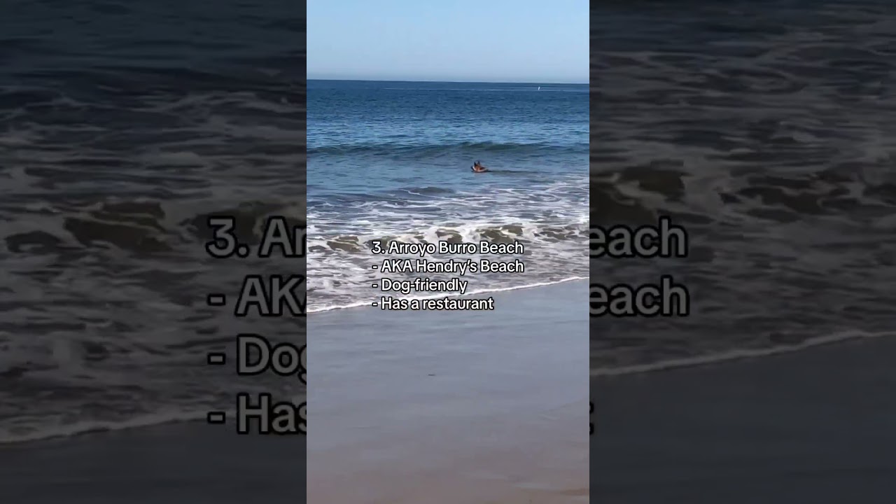 Top 5 Beaches Near UC Santa Barbara! #SantaBarbara #Beach #BeachLife #California #UCSB