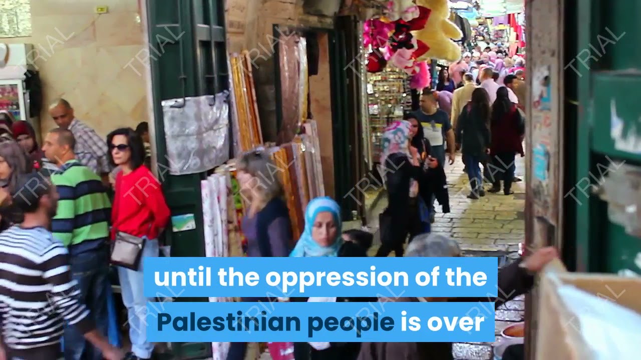 Generation Z will free Palestine 🇵🇸