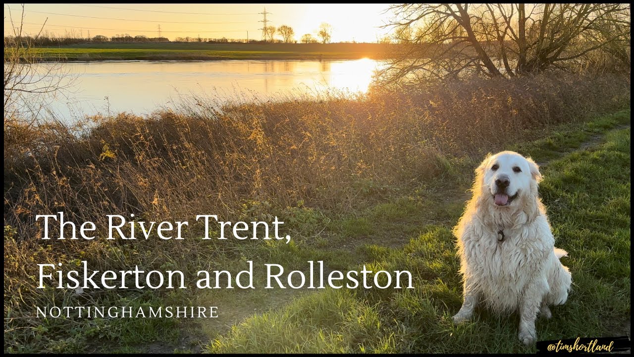 The River Trent｜Fiskerton and Rolleston｜Nottinghamshire｜UK｜Virtual Walk｜Dog Walking Route｜4K