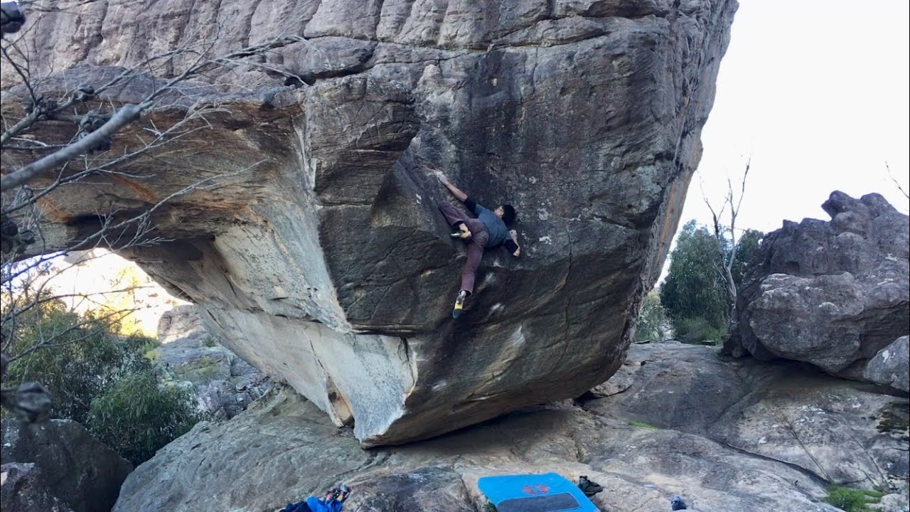 Ammagamma V13