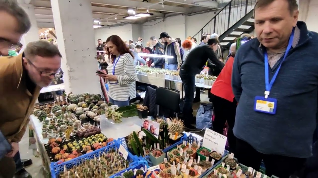 Московский Весенний кактус фест 2025