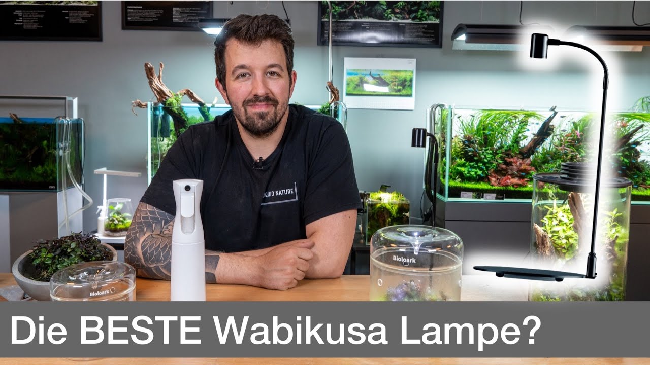Die BESTE Wabikusa Lampe? | Liquid Nature