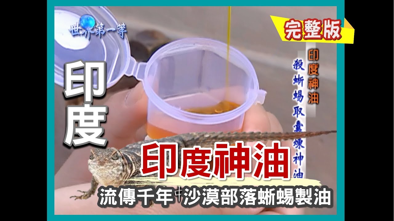 【印度】前進原產地塔爾沙漠 印度神油大揭密 ｜《世界第一等》71集小馬完整版