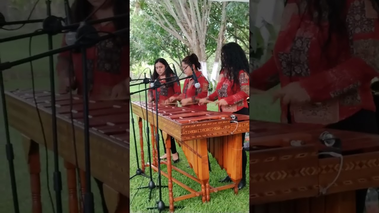 🎵🎶Popurri Cumbiero/ Marimberas Orquesta💃🕺