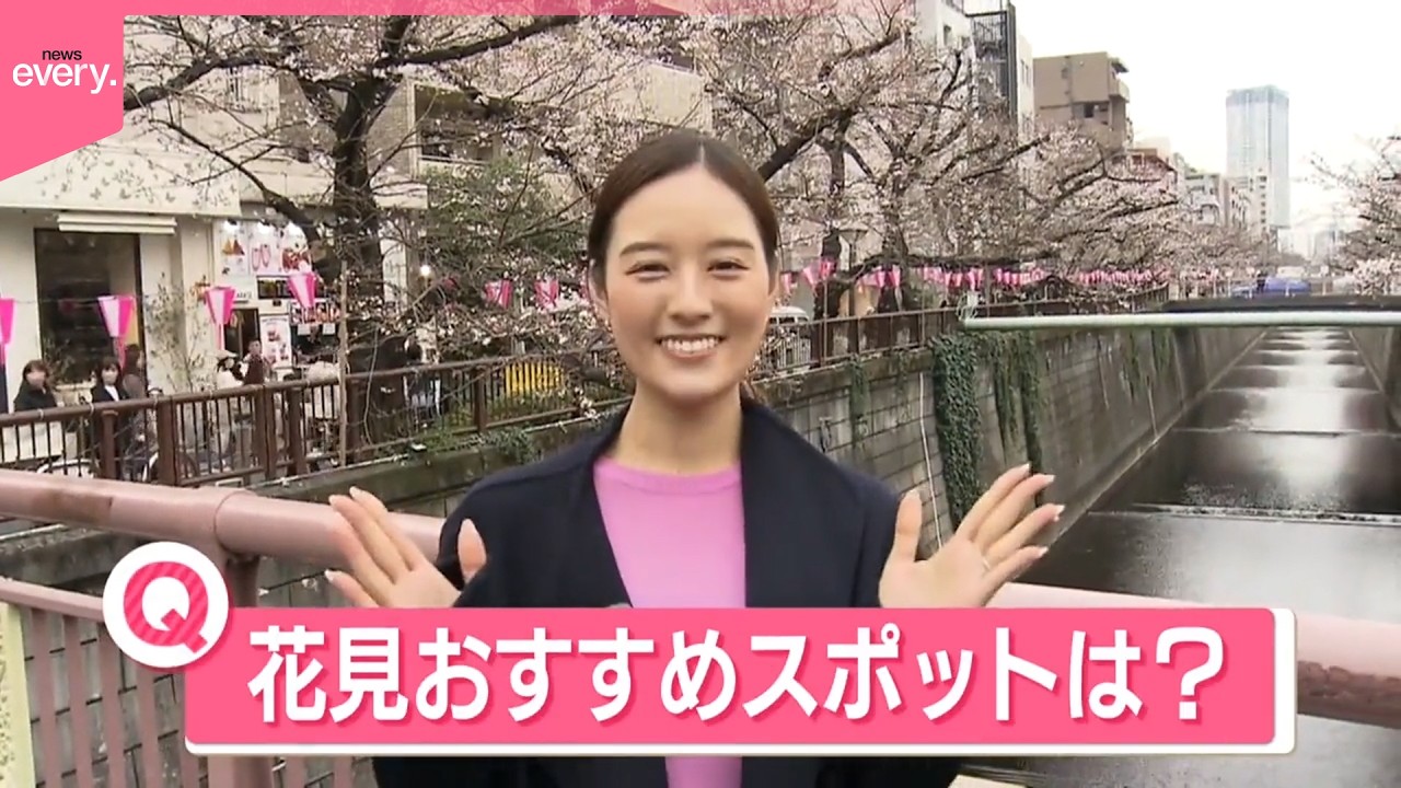 【きょうの1日】全国26地点で桜開花  おすすめの花見スポットは？  地元民だけが知る楽しみ方も