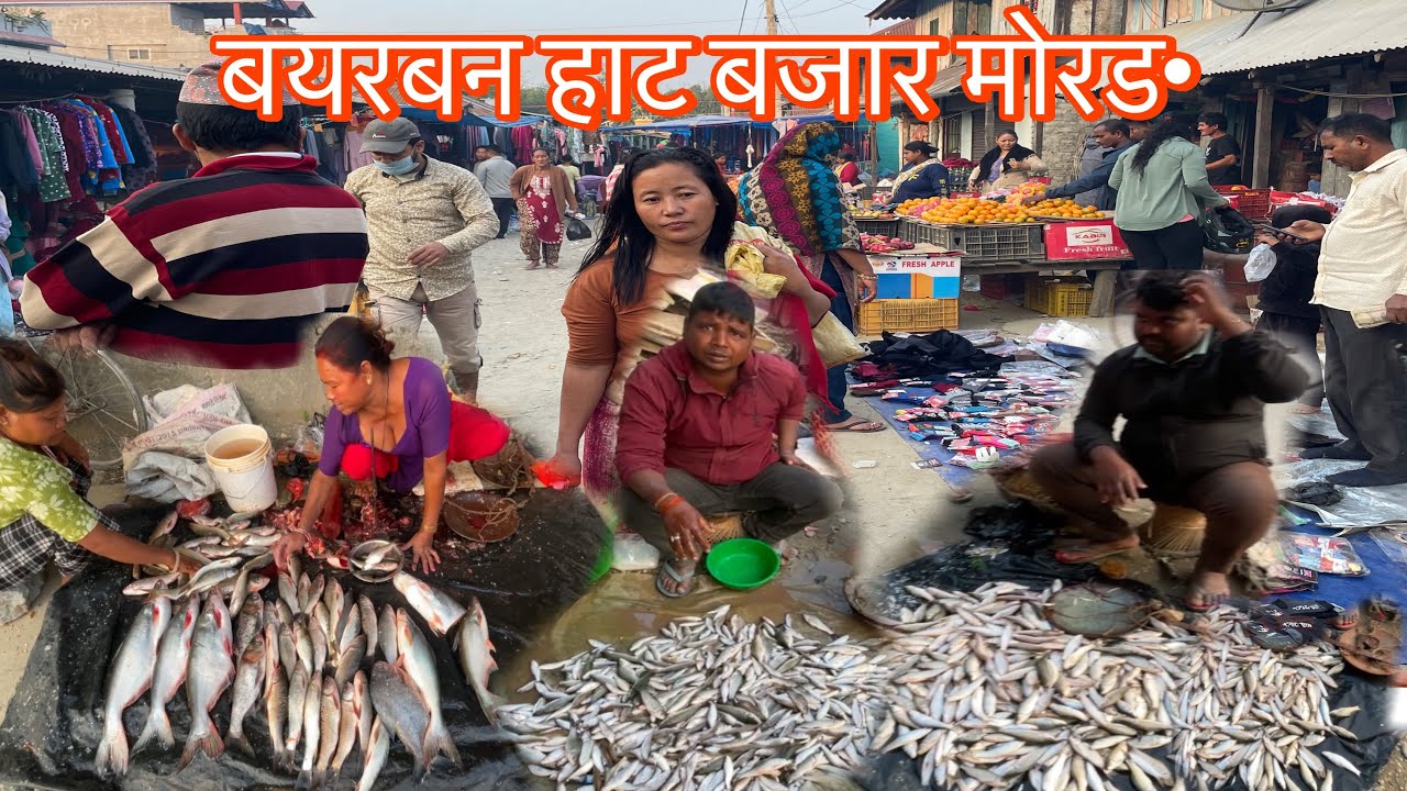 BAYARBAN HAT BAZAR MORANG, Fish Market In Nepal 🐟 🇳🇵 #youtube #nepalirurallife#nepalimarket#nambindb