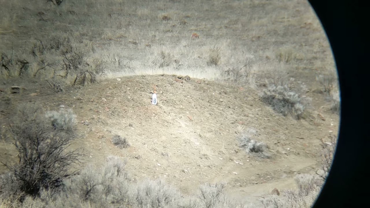 Long Range 22 Mag.  Bergara BMR-X 22 WMR at nearly 300 yards.