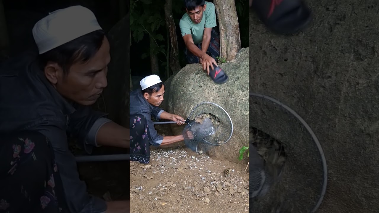 ditangkap pake pentor indoknya #shortvideo #vidio #viral