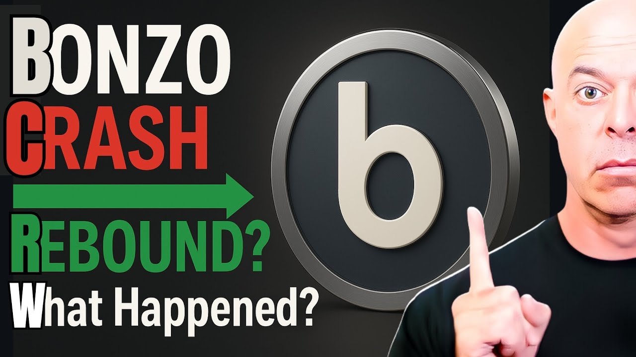 BONZO Price Crash & Instant Rebound Explained&mdash;Liquidation Bots Triggered Wild Swing! Hear Why NOW!