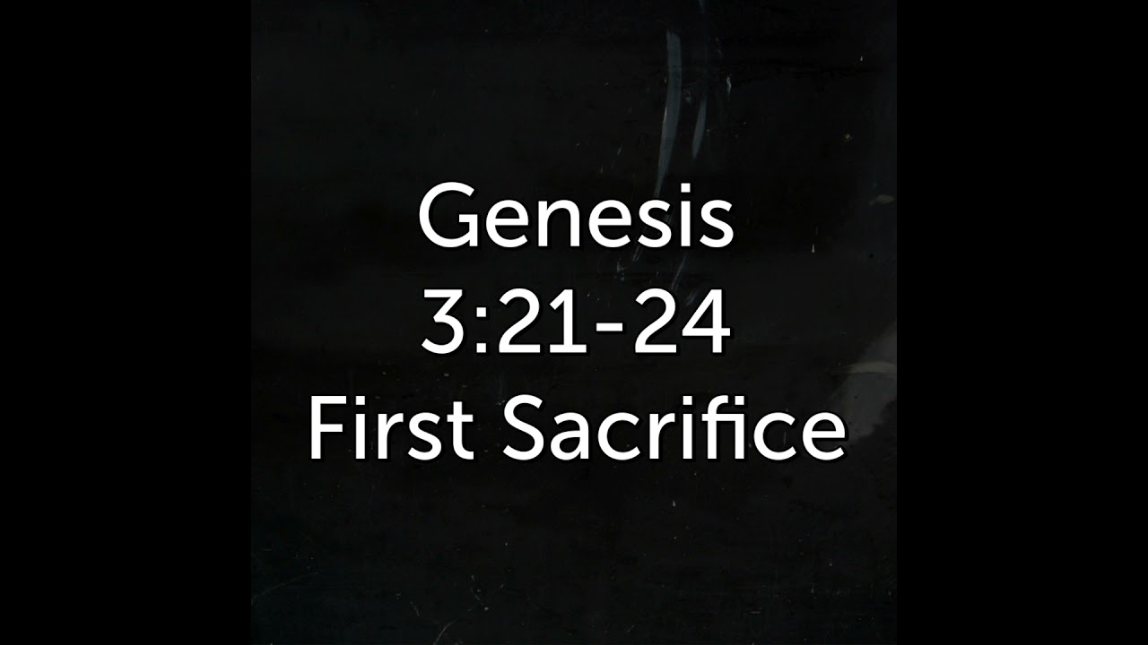 First Sacrifice