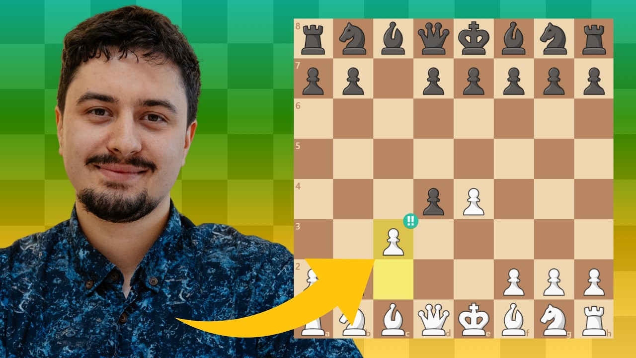 Gambit Morra w 15 minut!