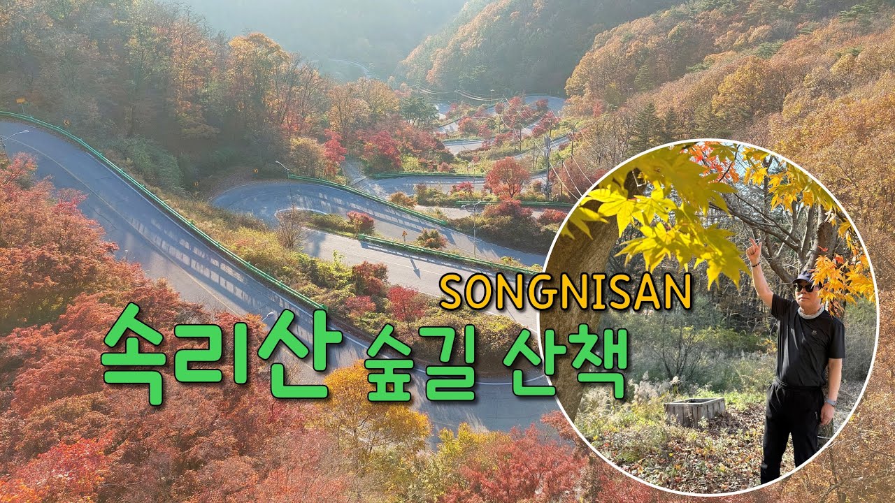 속리산 숲길 산책 👍🎵🍀🌾🍂🦜🍌🇰🇷