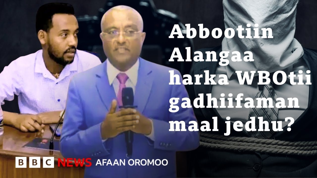 Abbootiin Alangaa Oromiyaa 'WBO'n butaman akkamiin gadhiifaman? | BBC News Afaan Oromoo
