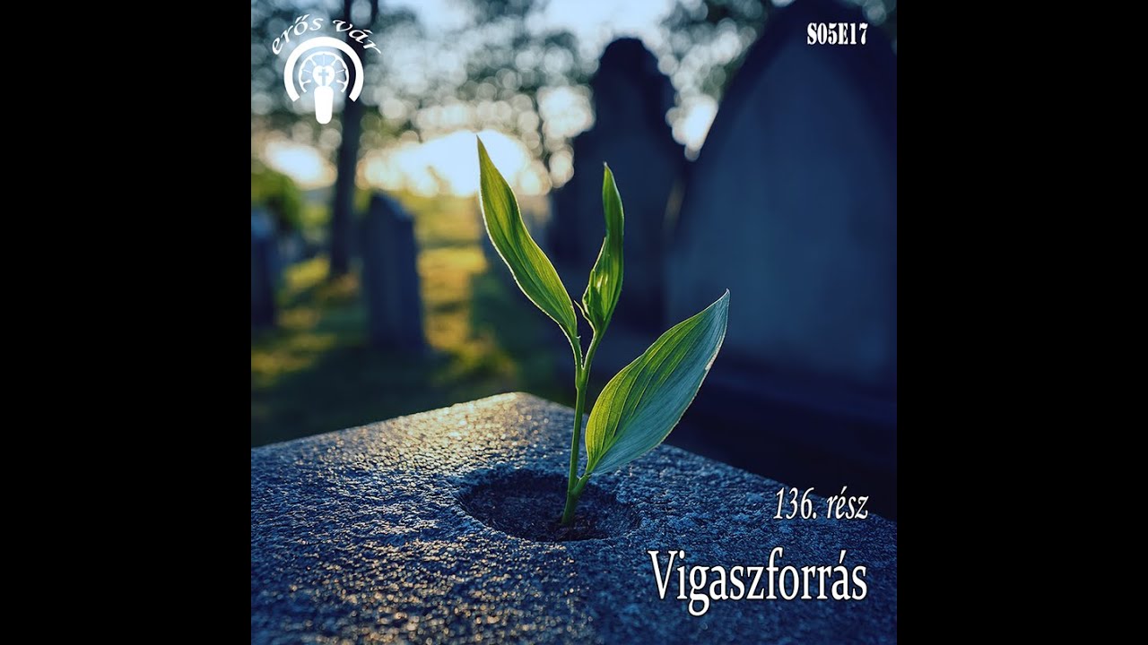 136. Vigaszforrás