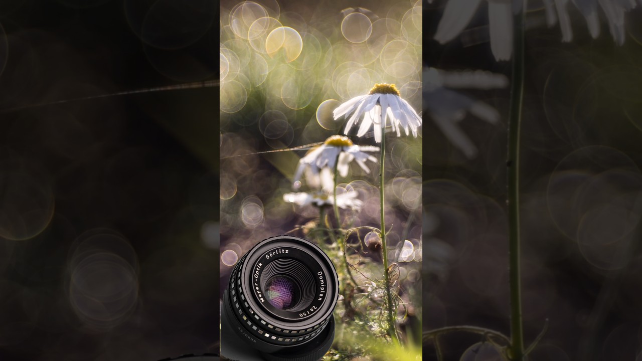 Top 3 unique bokeh effects of old M42 lenses. #lens #photography #effects #m42 #canon #sony #nikon
