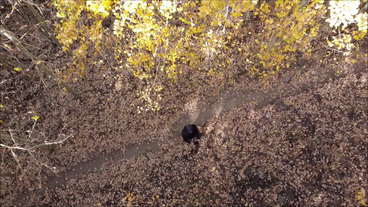 Hacılar Ortaseki Ormanları (HD)