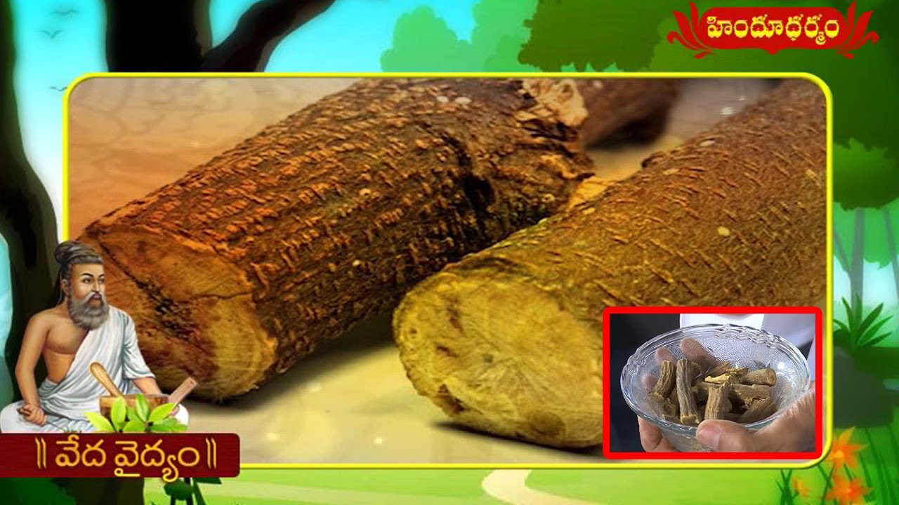 Benefits And Medicinal Uses Of Athimadhuram | Veda Vaidhyam | 02.06.2017 | Hindu Dharmam