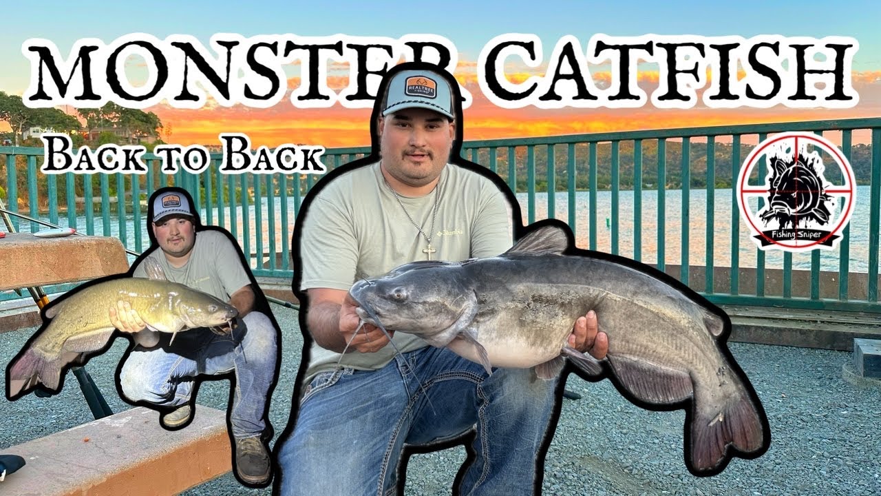 Fishing Clear lake CA for MONSTER Catfish